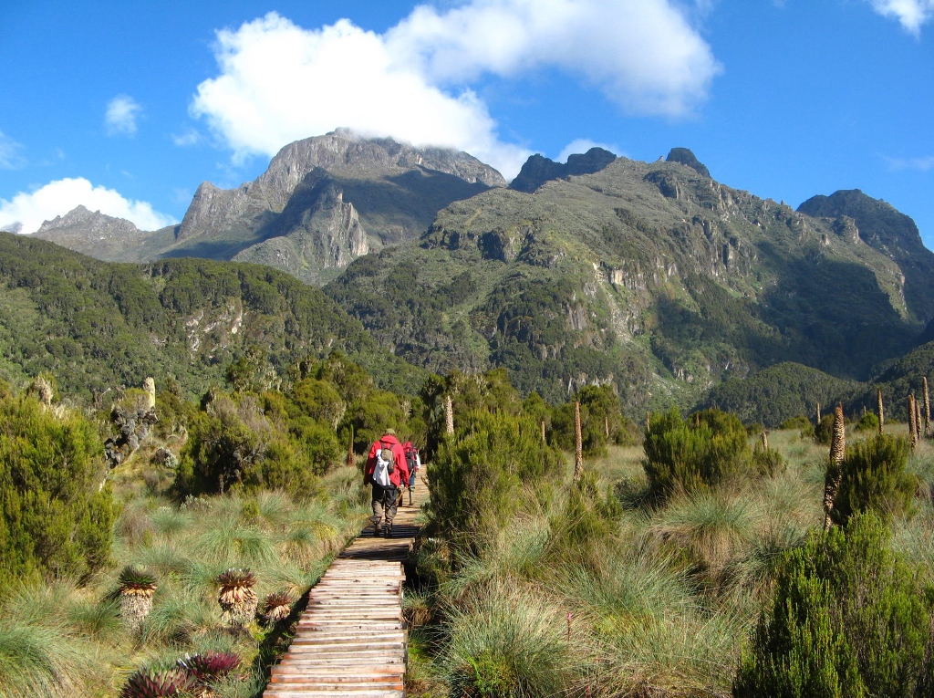 Mountainiring at Rwenzori Mountains
